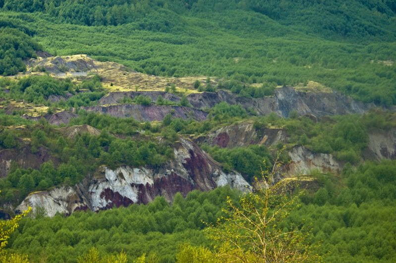 Mount St Helens Creation Center
