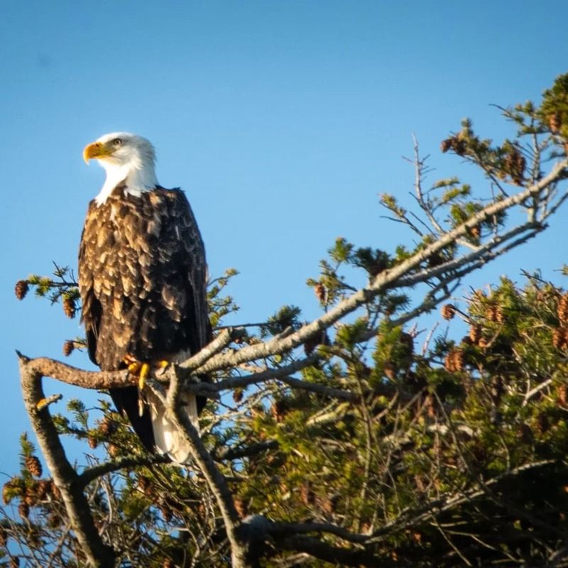 San Juan Island National Historical Park