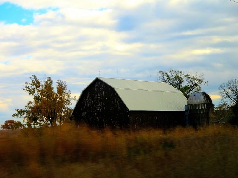 House on the Rock