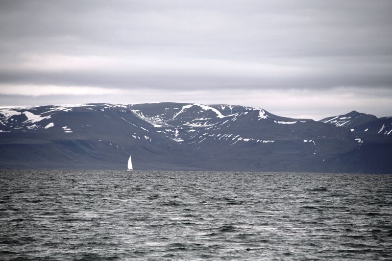 Norskedalen