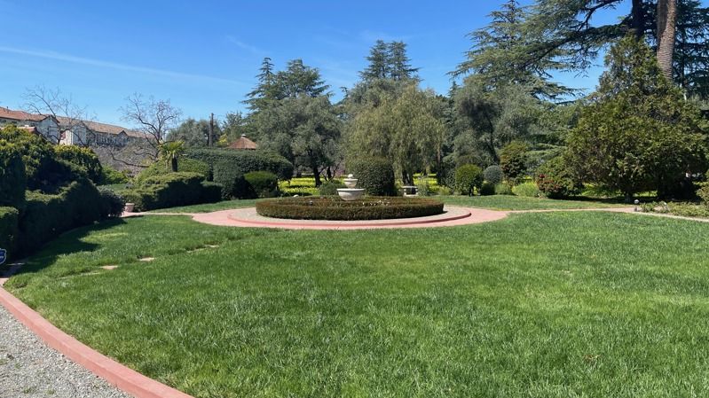 Orchard Lawn