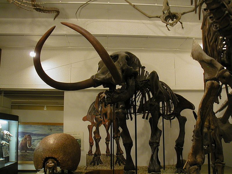 UW–Madison Geology Museum