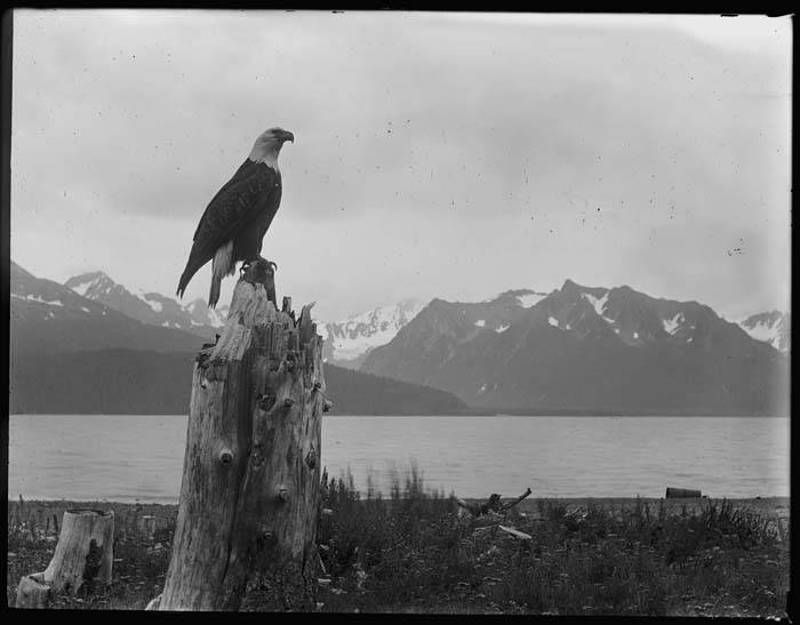 Eagle Historical Society & Museums