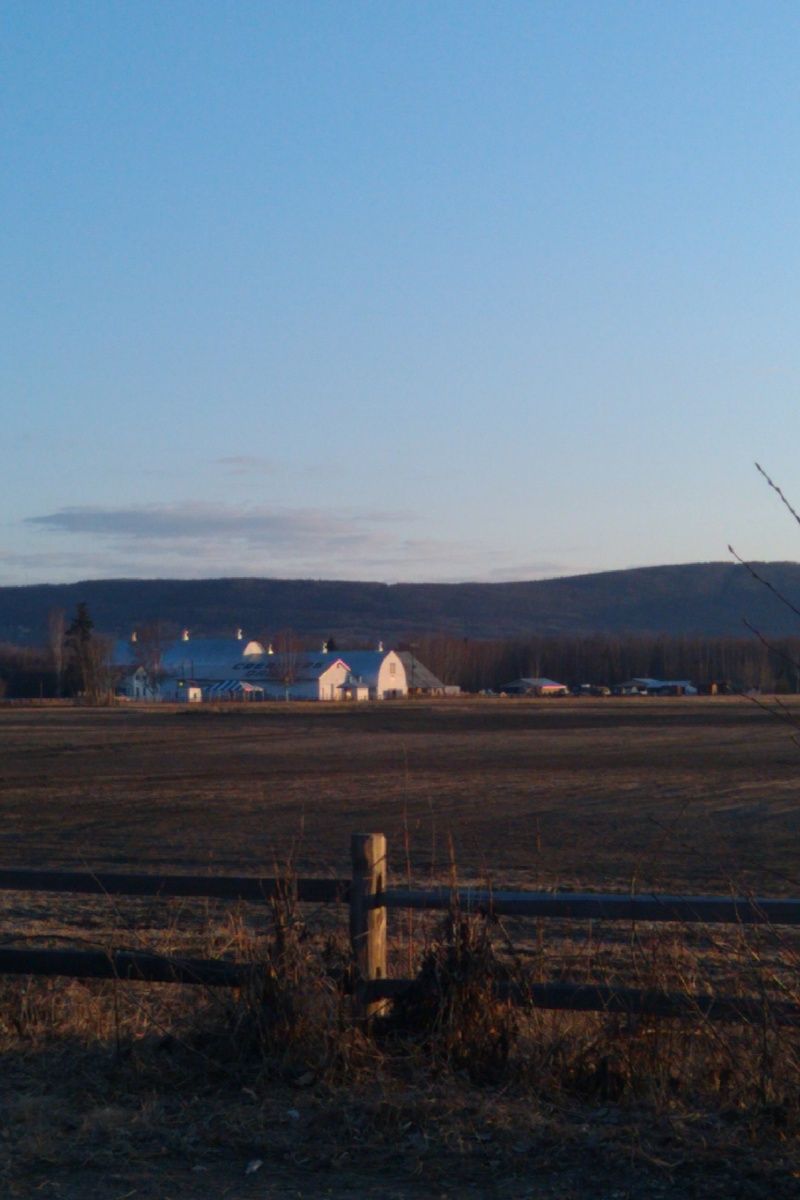 Fairbanks Community Museum