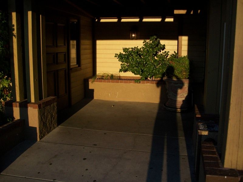Foxfire Museum & Heritage Center