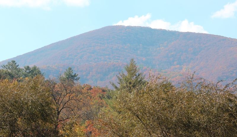 Vogel State Park