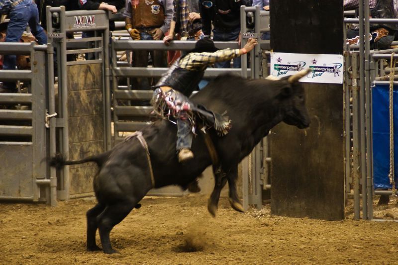 ProRodeo Hall of Fame