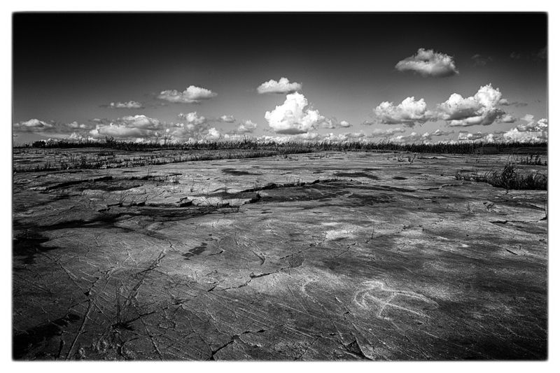 Jeffers Petroglyphs