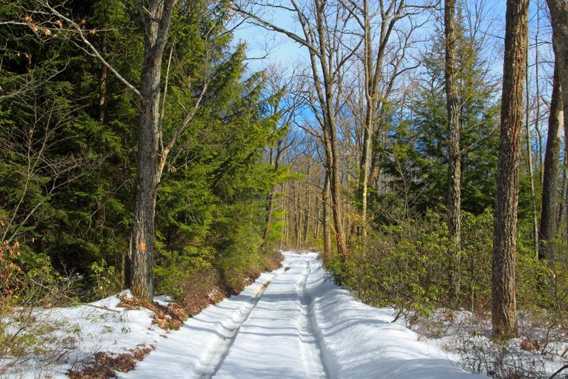 Tracks and Trails Museum