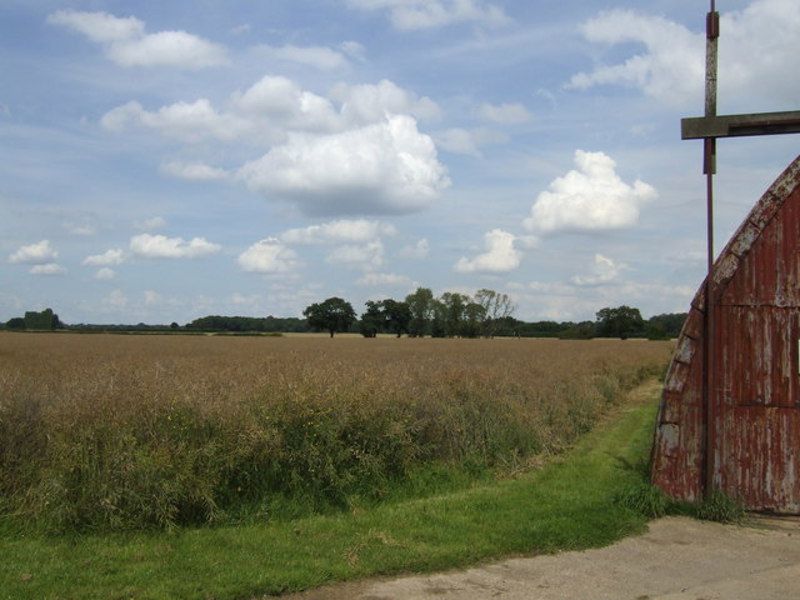 North Oaks Farm
