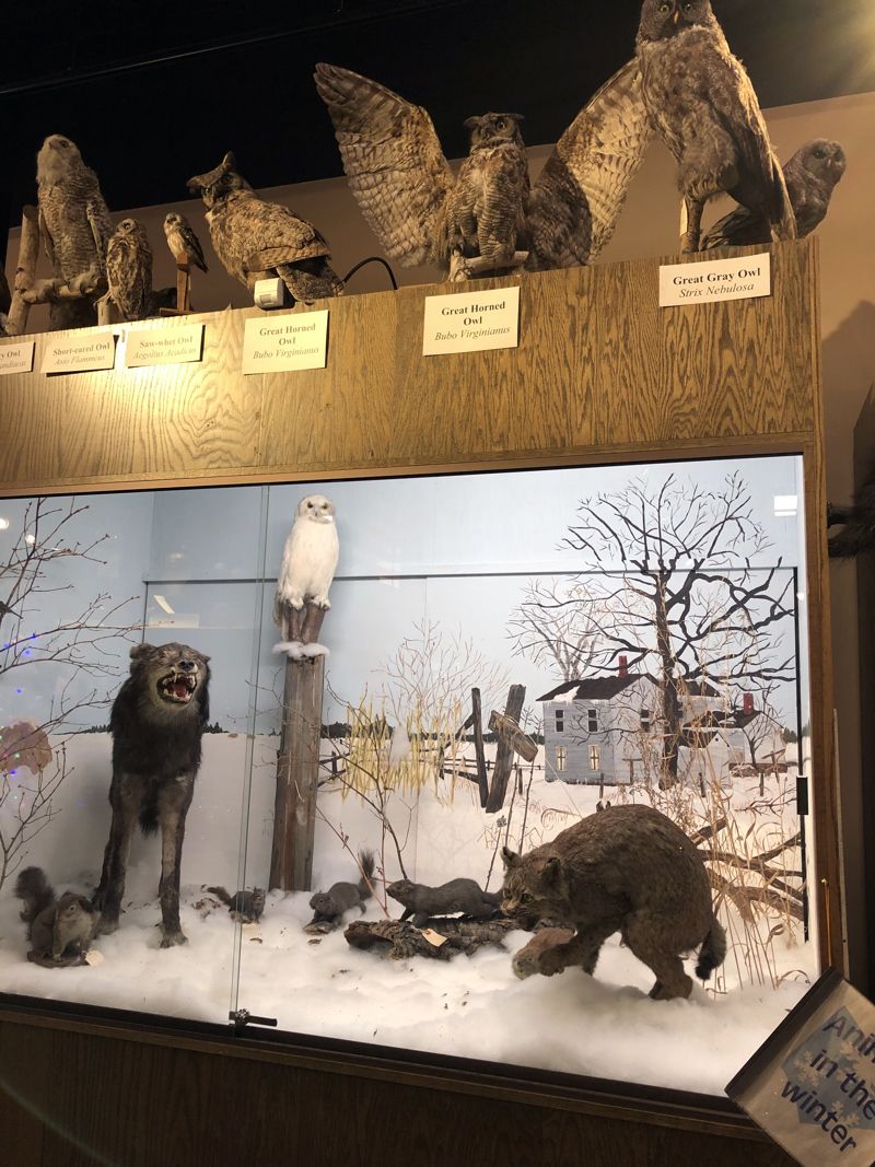 Roseau County Museum