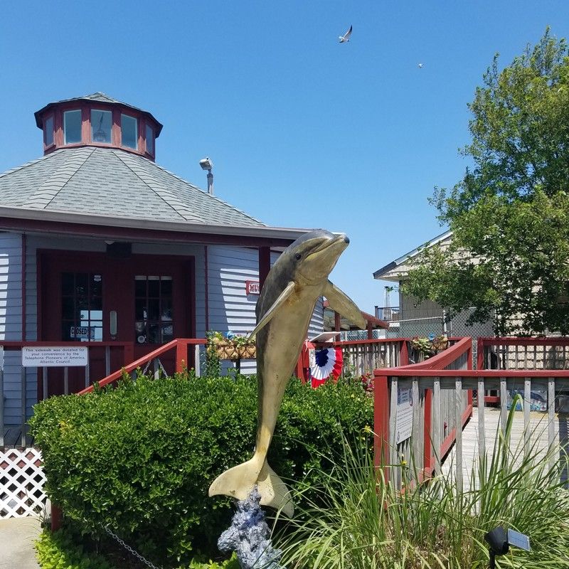 Marine Mammal Stranding Center