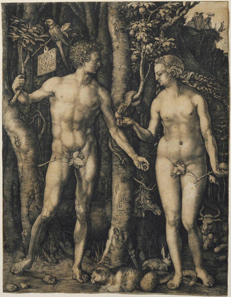 Princeton University Art Museum