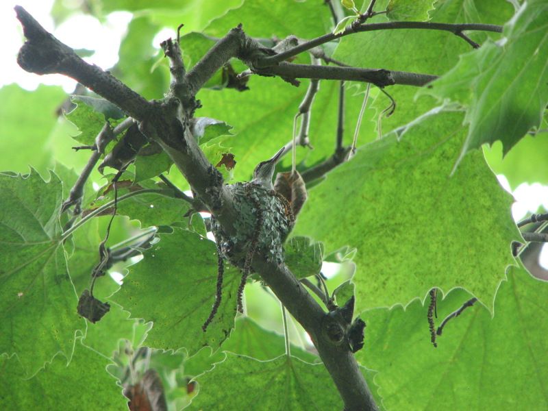 Coverdale Farm Preserve