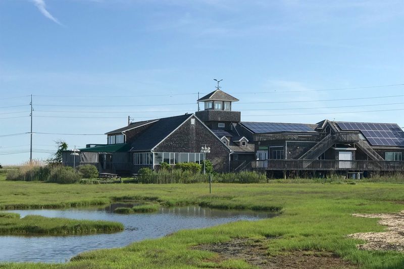 The Wetlands Institute
