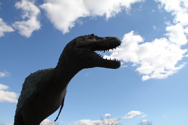 New Mexico Museum of Natural History and Science