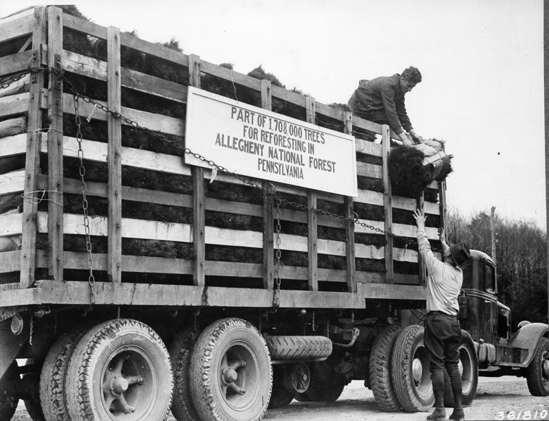 Alleghany Historical Museum