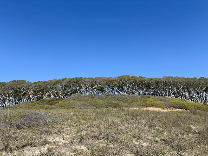 Fort Fisher State Historic Site