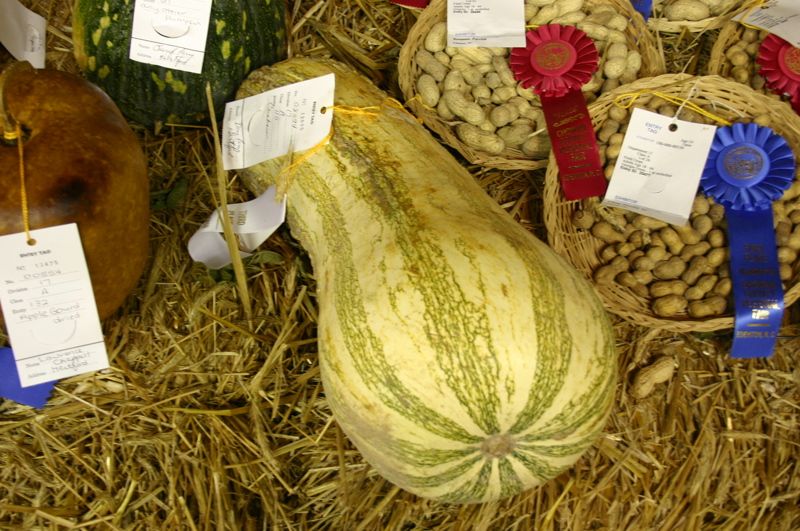 Gourd Museum