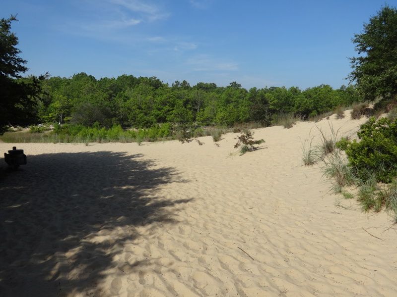 Jockey's Ridge State Park