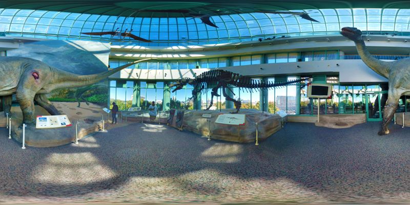 North Carolina Museum of Natural Sciences