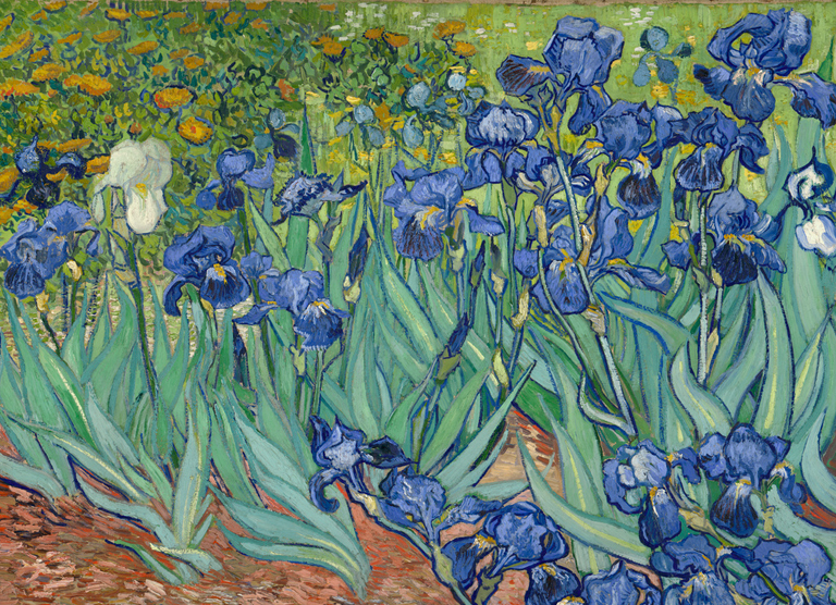 Vincent van Gogh (Dutch, 1853 - 1890), Irises, Dutch, 1889, The Getty Center | Photo: Getty Center Open Access